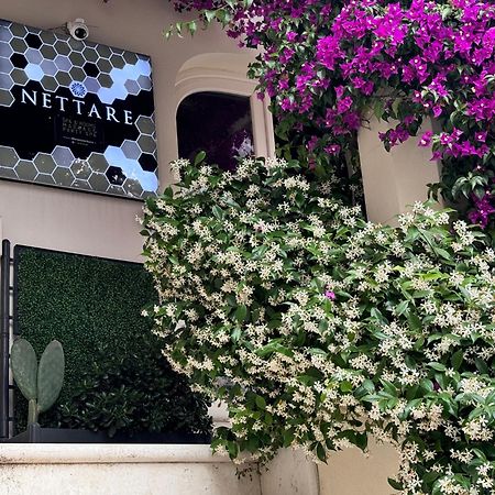 Dimora Nettare Hotel Brindisi Ngoại thất bức ảnh